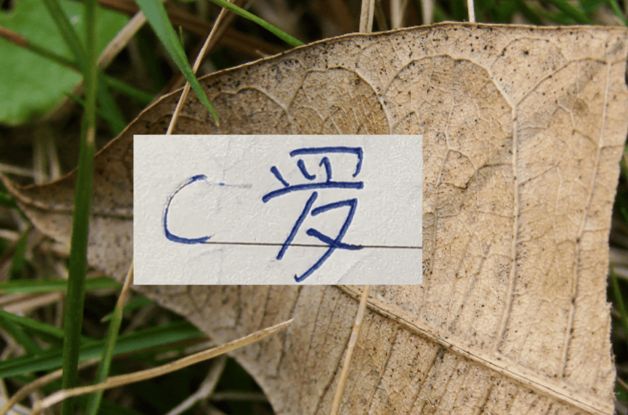 申花扣10分并罚款一百万 ！C罗在社交祝福乔治娜生日快乐